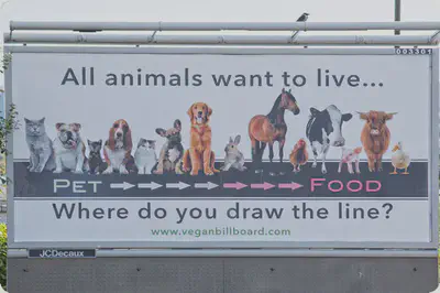 A row of animals, including horses, dogs, cows, rabbits, and various birds, presented roughly in a scale of what Western culture might consider food. The text asks where do we draw the line.